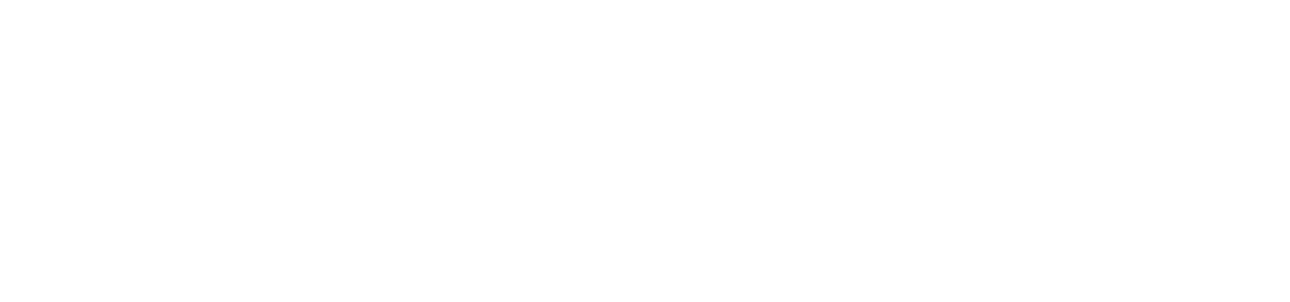 Reversa